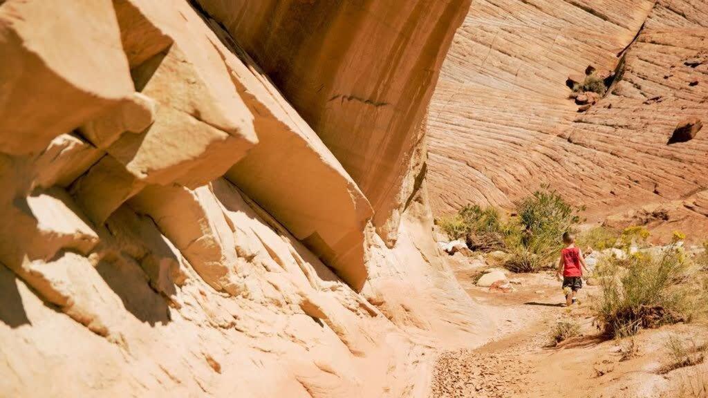 Escalante Escapes Desert Willow- Loft Escape Luaran gambar
